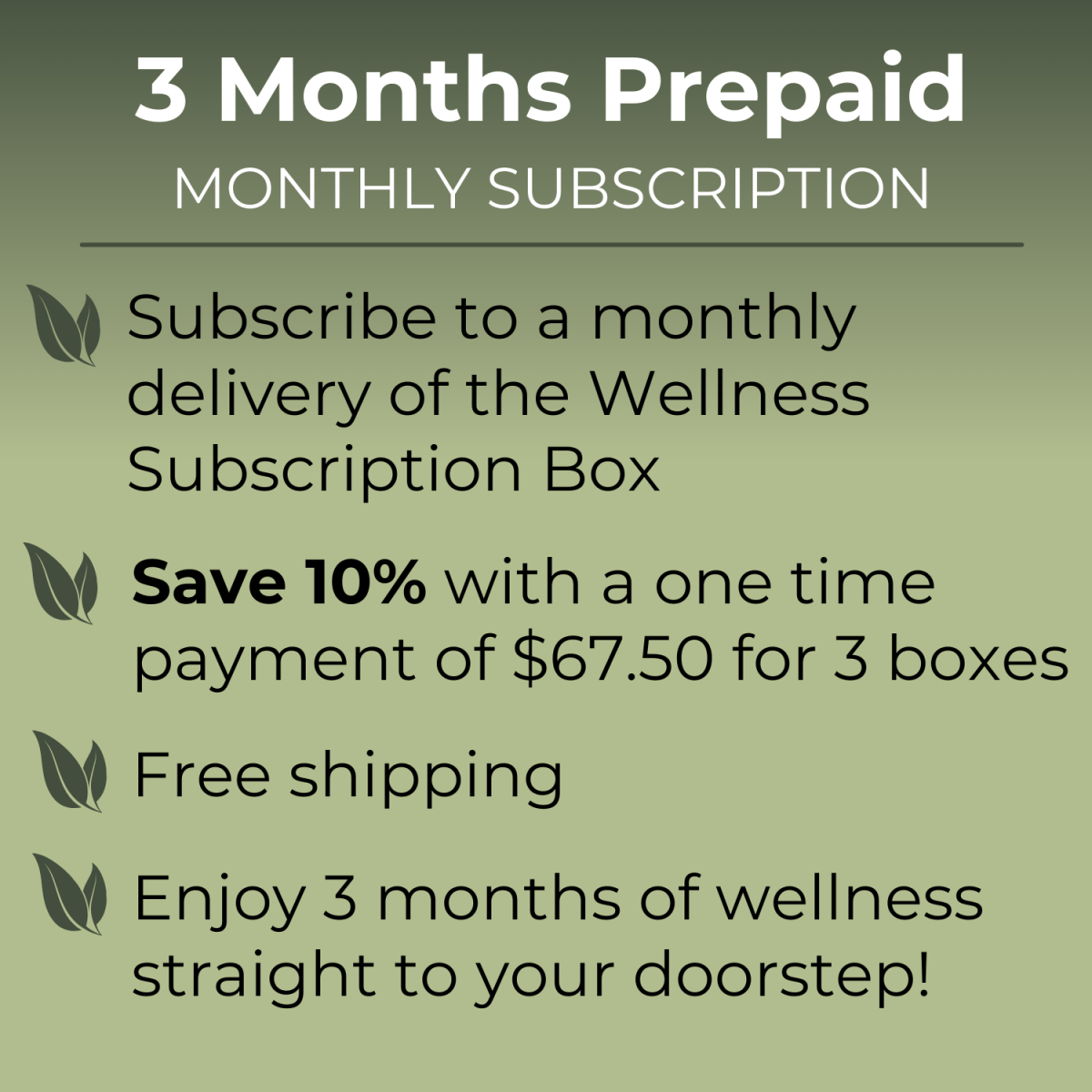 Wellness Tea Subscription Box - Subscription Box - Full Leaf Tea Company