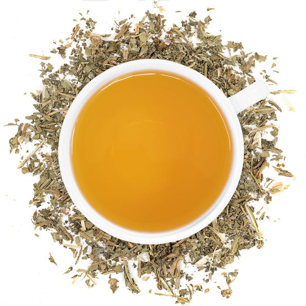 Organic Blessed Thistle - Loose Leaf Tea - Full Leaf Tea Company