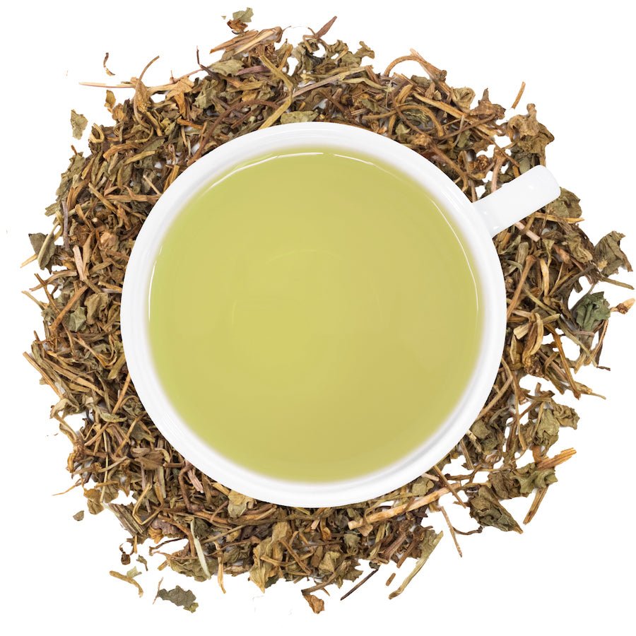Organic Gotu Kola - Loose Leaf Tea - Full Leaf Tea Company