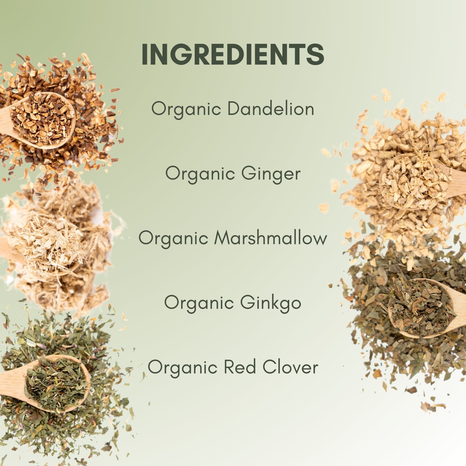 Organic Kidney Cleanse - Loose Leaf Tea - Full Leaf Tea Company