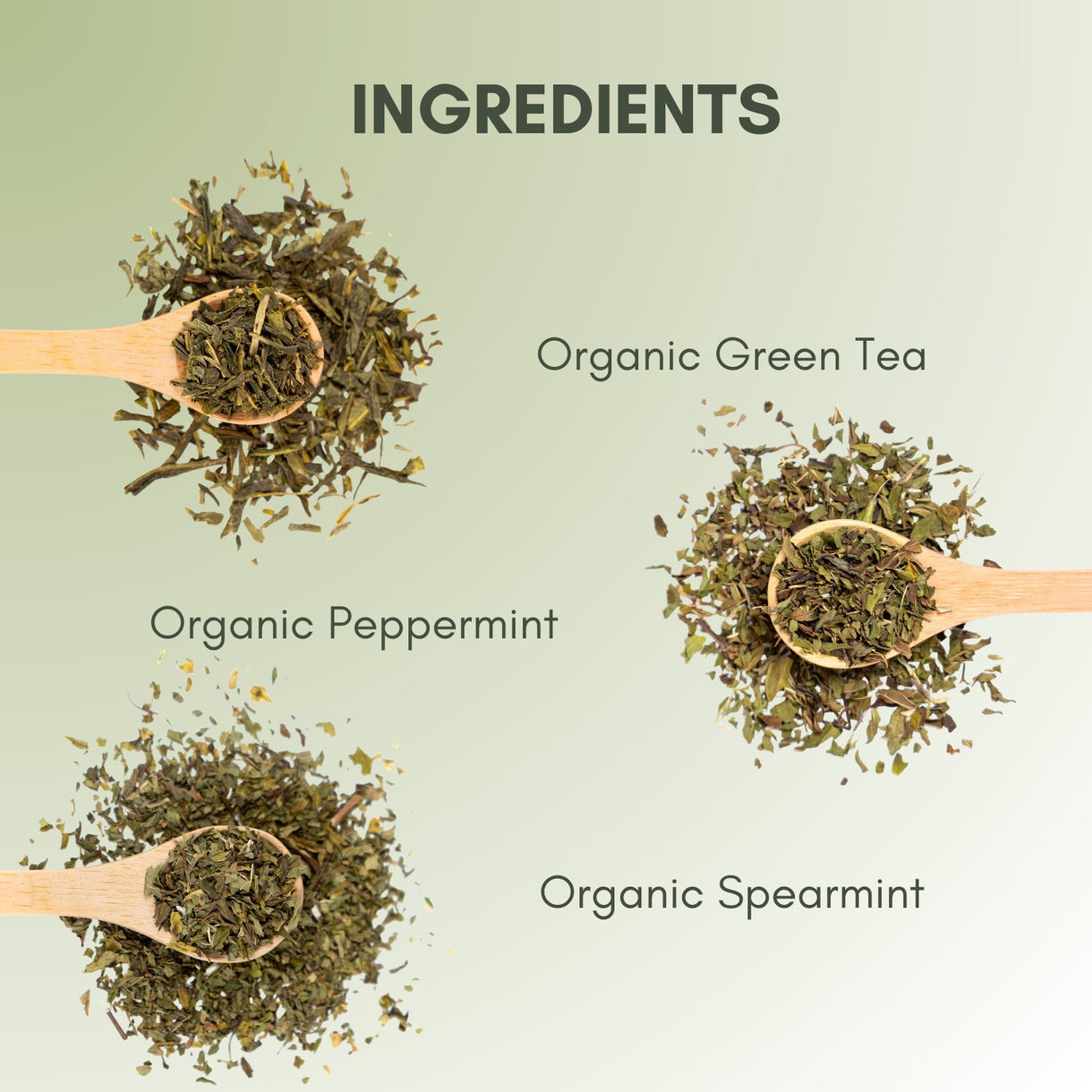 Organic Mint Bliss - Loose Leaf Tea - Full Leaf Tea Company - Ingredients Listed on Page